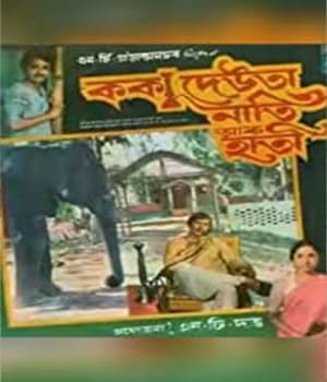 Kokadeuta Nati Aru Hati (1984) poster