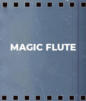 Magic Flute (1929) poster