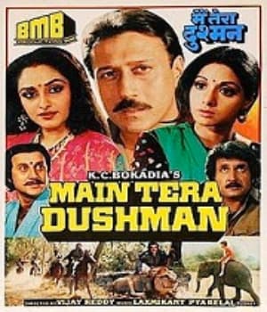 Main Tera Dushman (1989) poster