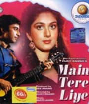 Main Tere Liye (1988) poster