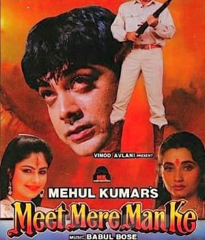Meet Mere Man Ke (1991) poster
