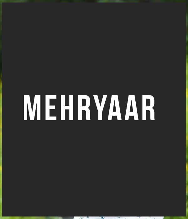 Mehryaar (2026) poster