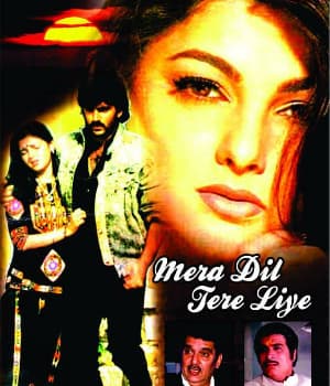 Mera Dil Tere Liye (1991) poster