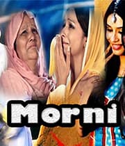 Morni (1975) poster