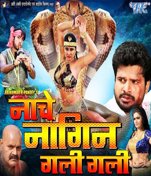 Nache Nagin Gali Gali (2018) poster