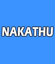 Nakathu (1944) poster
