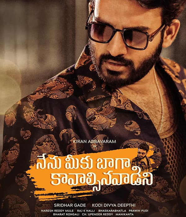 Nenu Meeku Baaga Kavalsinavaadini (2022) poster