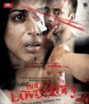 Not A Love Story (2011) poster