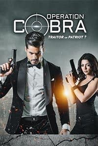 Operation Cobra (2019) poster