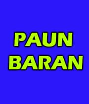 Paun Baran (1968) poster