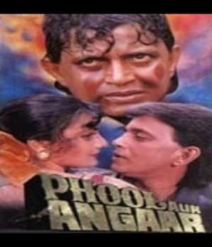Phool Aur Angaar (1993) poster