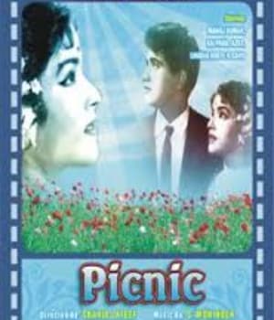 Picnic (1966) poster
