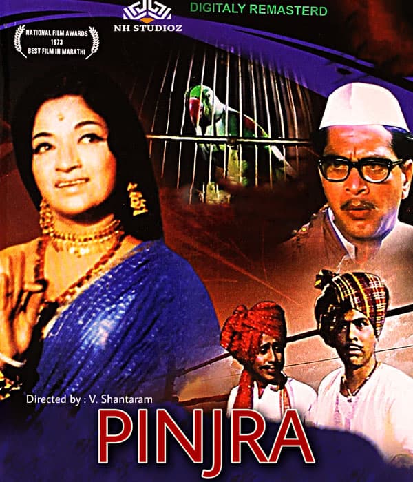 Pinjra (2016) poster