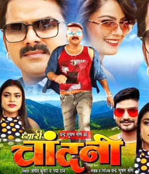 Pyari Chandni (2022) poster