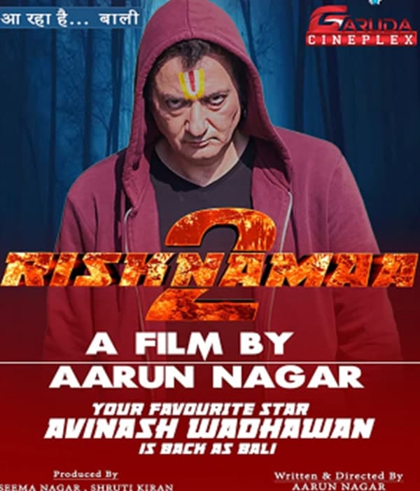Risknamaa 2 (2021) poster