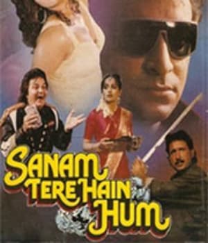Sanam Tere Hain Hum (1992) poster