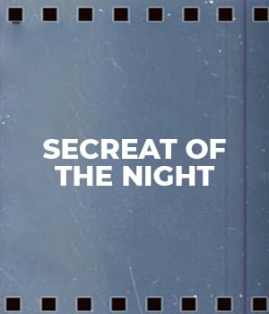 Secreat Of The Night (1930) poster