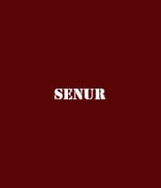 Senur (1983) poster