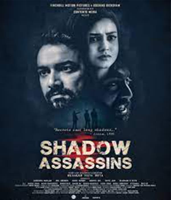 Shadow Assassins (2022) poster