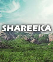 Shareeka (1989) poster