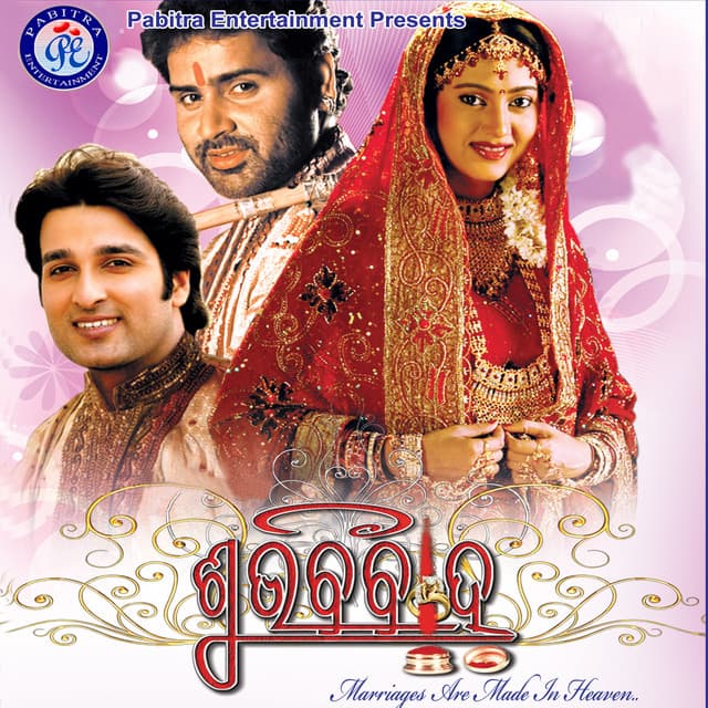 Subha Vivaha (2010) poster