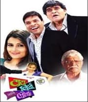 Tata Birla Ani Laila (2010) poster