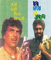 Teri Meri Ik Jindri (1974) poster