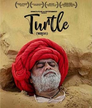 Turtle (2021) poster