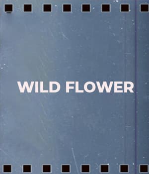 Wild Flower (1930) poster
