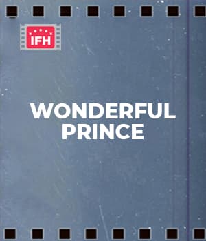 Wonderful Prince (1929) poster