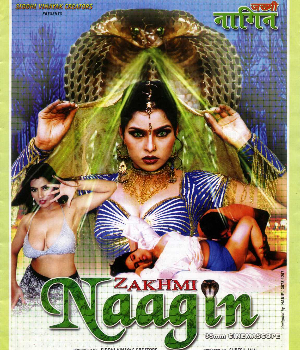 Zakhmi Naagin (2004) poster