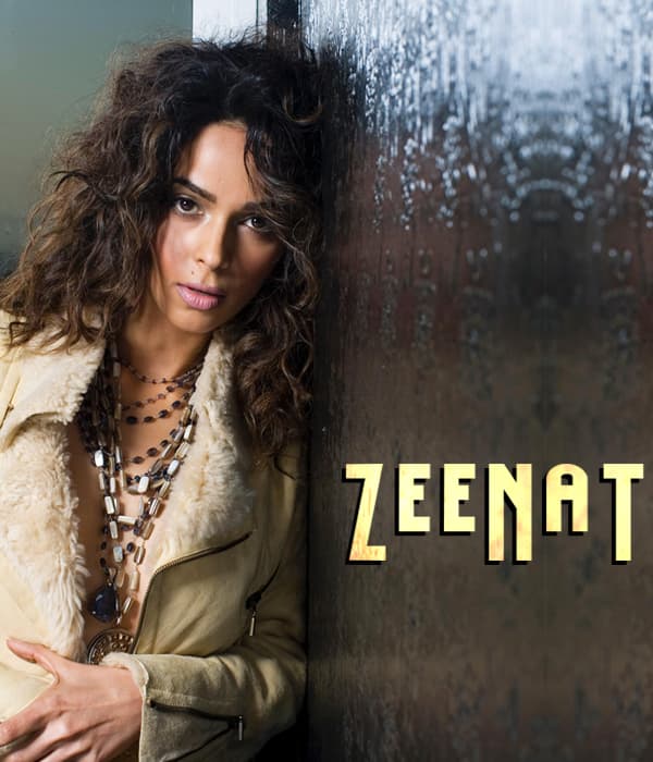 Zeenat (2018) poster