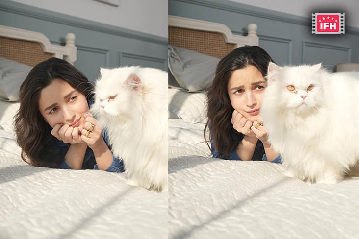 Alia Bhatt Gets A Royal Treat From Her Cat Edward!