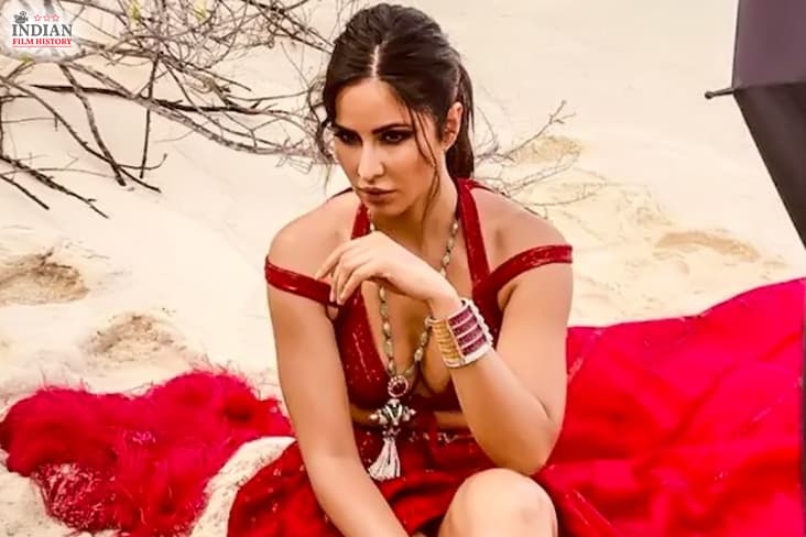 Katrina Kaif To Star Opposite This South Star In Sriram Raghavan’s Next