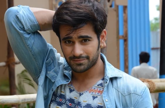 TV Actor Pearl V Puri Turns Singer
