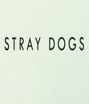 Stray Dogs