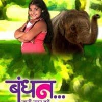 Bandhan (2014) poster