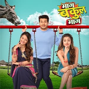 Bhaag Bakool Bhaag (2017) poster