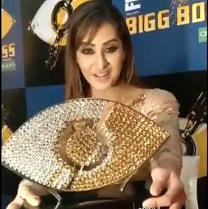 Bigg Boss 11 (2017) poster