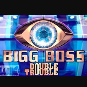 Bigg Boss 9 (2015) poster