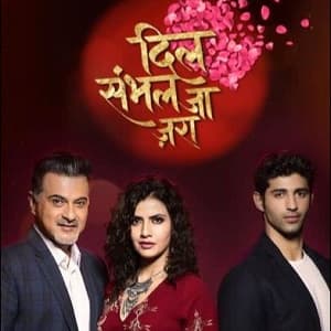 Dil Sambhal Jaa Zara (2017) poster