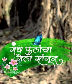 Gandh Phulancha Gela Saangun (2013) poster