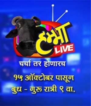 Hamma Live (2014) poster