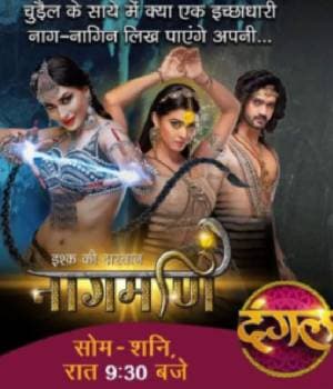 Ishq Ki Dastaan Naagmani (2022) poster