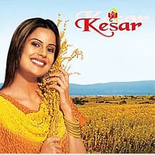Kesar