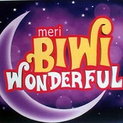 Meri Biwi Wonderful (2002) poster
