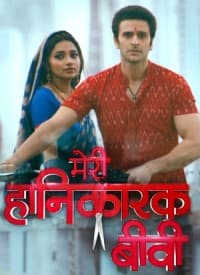 Meri Hanikarak Biwi (2017) poster