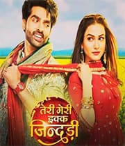 Teri Meri Ikk Jindri (2021) poster