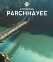 Wilson's Bridge (Parchhayee)