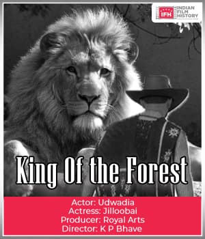 King Of The Forest (1926) poster